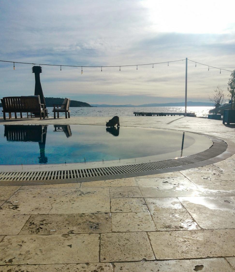 Harbor View Pool